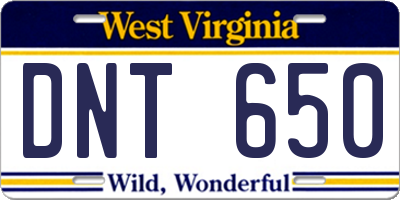 WV license plate DNT650