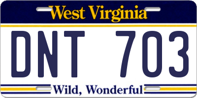 WV license plate DNT703