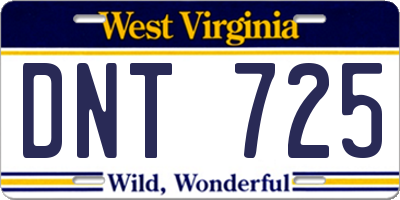 WV license plate DNT725