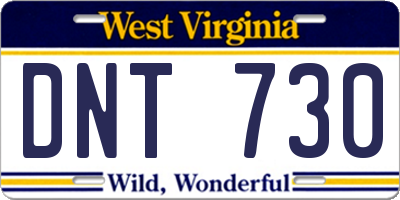 WV license plate DNT730