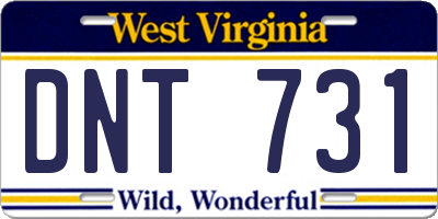 WV license plate DNT731