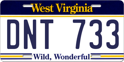WV license plate DNT733