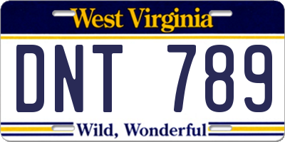 WV license plate DNT789