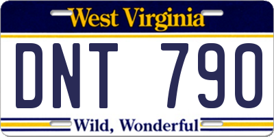 WV license plate DNT790