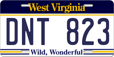 WV license plate DNT823