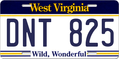 WV license plate DNT825