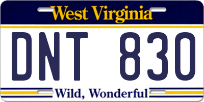 WV license plate DNT830