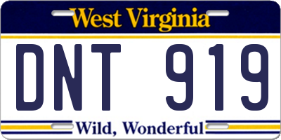 WV license plate DNT919