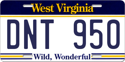 WV license plate DNT950