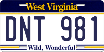 WV license plate DNT981
