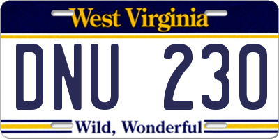 WV license plate DNU230