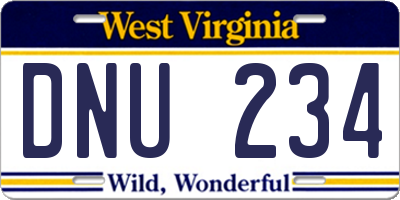 WV license plate DNU234