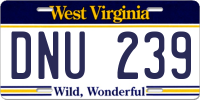 WV license plate DNU239