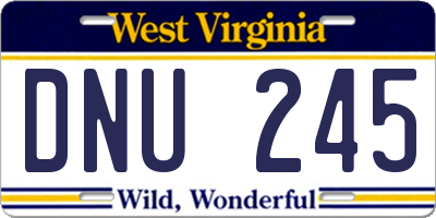 WV license plate DNU245
