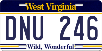 WV license plate DNU246