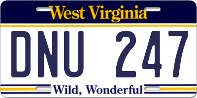WV license plate DNU247