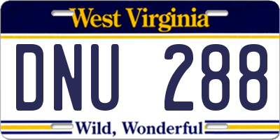 WV license plate DNU288