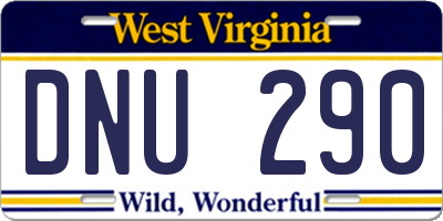 WV license plate DNU290