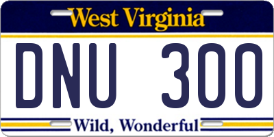WV license plate DNU300