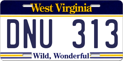 WV license plate DNU313