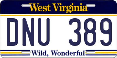 WV license plate DNU389