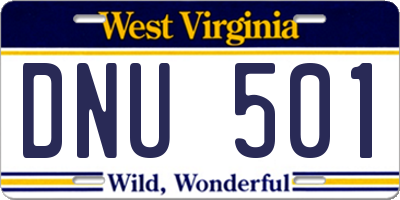WV license plate DNU501
