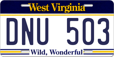 WV license plate DNU503