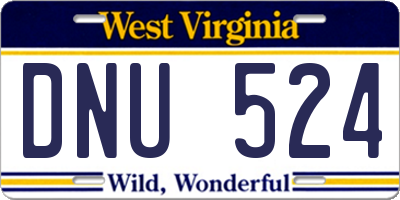 WV license plate DNU524