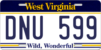 WV license plate DNU599