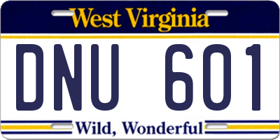 WV license plate DNU601