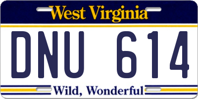 WV license plate DNU614