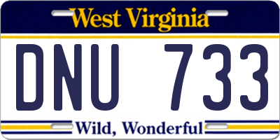 WV license plate DNU733