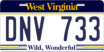 WV license plate DNV733
