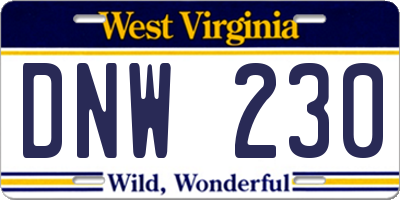 WV license plate DNW230