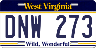 WV license plate DNW273