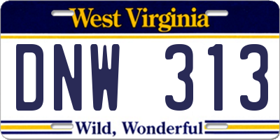 WV license plate DNW313
