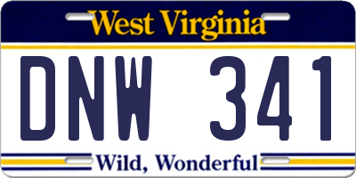 WV license plate DNW341