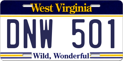 WV license plate DNW501