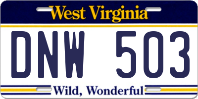 WV license plate DNW503