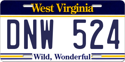 WV license plate DNW524