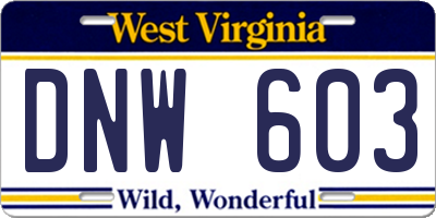 WV license plate DNW603