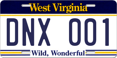 WV license plate DNX001