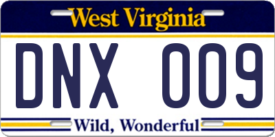 WV license plate DNX009