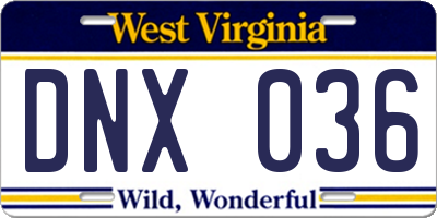WV license plate DNX036