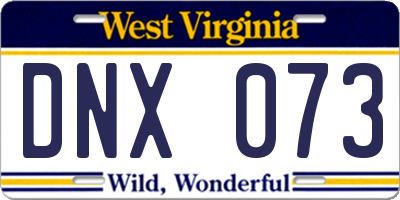 WV license plate DNX073