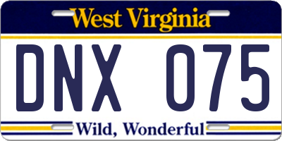 WV license plate DNX075