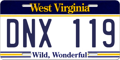 WV license plate DNX119