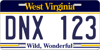 WV license plate DNX123