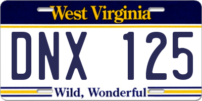 WV license plate DNX125