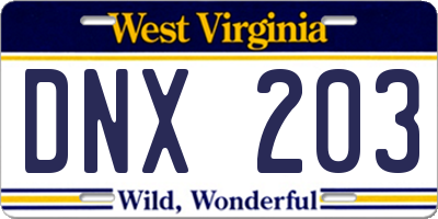 WV license plate DNX203